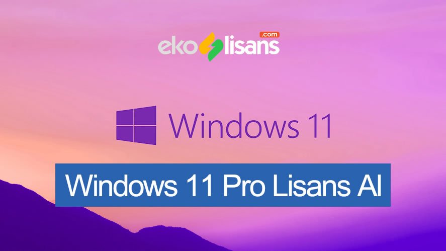 Windows 11 Pro lisans Al